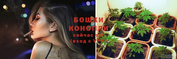 таблы Богданович