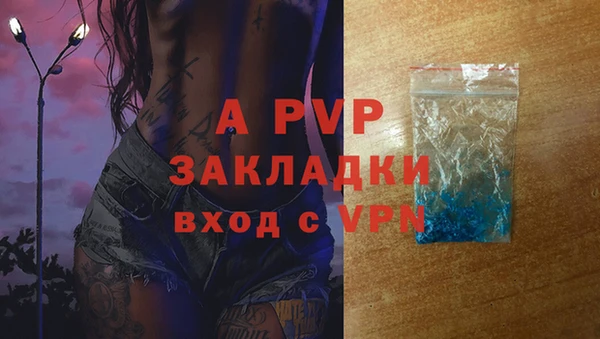 таблы Богданович