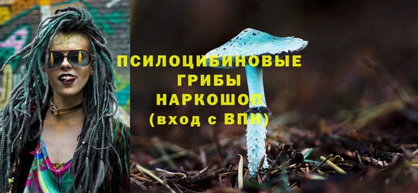 гашик Богородицк