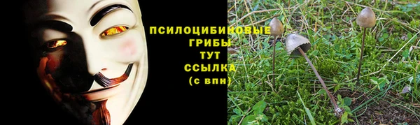 гашик Богородицк